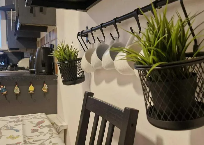 Refurbed Modern & Stylish 3bd - Garden Pets Ok Dublin